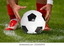 2025 赛季回顾：弗里曼由于在世界大赛连续四场开轰，获颁“年度最激动人心球员奖”